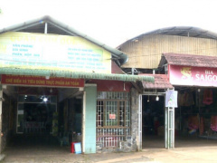 Ảnh bìa bài viết 990540