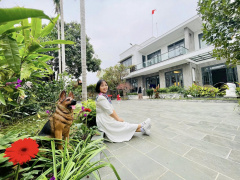 Ảnh bìa bài viết 990562