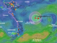 Ảnh bìa bài viết 990703