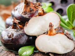Ảnh bìa bài viết 990749