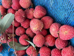 Ảnh bìa bài viết 990879