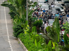 Ảnh bìa bài viết 991021