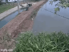 Ảnh bìa bài viết 991199