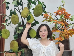 Ảnh bìa bài viết 991159