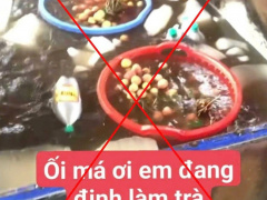 Ảnh bìa bài viết 991317