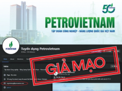 Ảnh bìa bài viết 991468