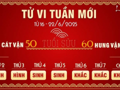 Ảnh bìa bài viết 991553