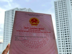 Ảnh bìa bài viết 991668