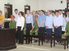 Ảnh bìa bài viết 991696