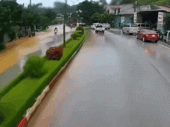 Ảnh bìa bài viết 991827