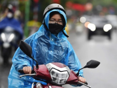 Ảnh bìa bài viết 991845