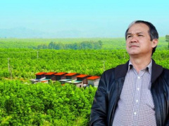 Ảnh bìa bài viết 992114