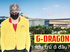 Ảnh bìa bài viết 992163