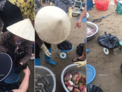 Ảnh bìa bài viết 992318