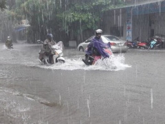 Ảnh bìa bài viết 992458