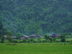 Ảnh bìa bài viết 992449