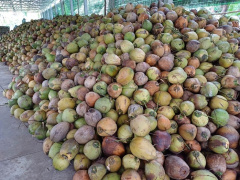 Ảnh bìa bài viết 992467