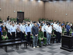 Ảnh bìa bài viết 992616
