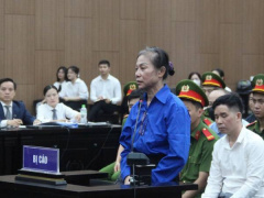 Ảnh bìa bài viết 993107