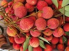 Ảnh bìa bài viết 993257
