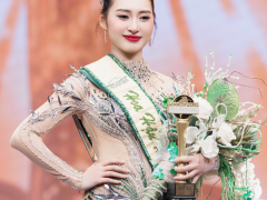 Ảnh bìa bài viết 993198