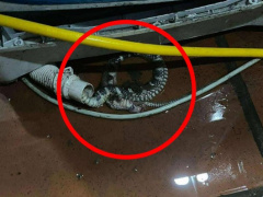 Ảnh bìa bài viết 993400