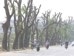Ảnh bìa bài viết 493813