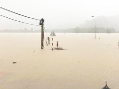 Ảnh bìa bài viết 493790