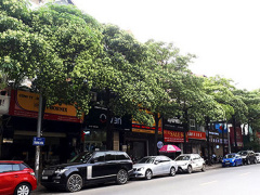 Ảnh bìa bài viết 501620