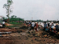 Ảnh bìa bài viết 494050