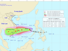 Ảnh bìa bài viết 494200