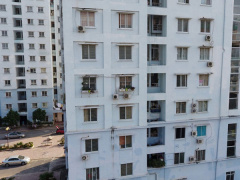 Ảnh bìa bài viết 493994