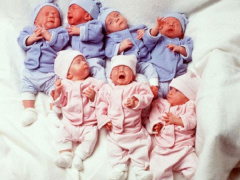 Ảnh bìa bài viết 494114