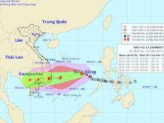 Ảnh bìa bài viết 494213
