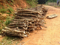 Ảnh bìa bài viết 494321