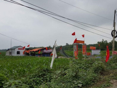 Ảnh bìa bài viết 494439