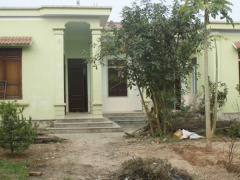 Ảnh bìa bài viết 501919