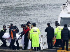 Ảnh bìa bài viết 501903