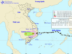 Ảnh bìa bài viết 494633