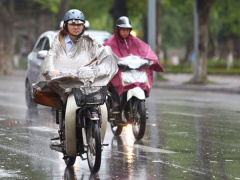 Ảnh bìa bài viết 494611