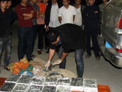 Ảnh bìa bài viết 494639