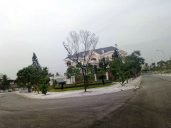 Ảnh bìa bài viết 494621