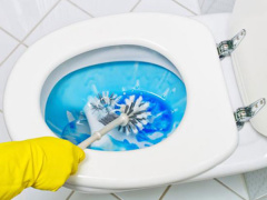 Ảnh bìa bài viết 502095