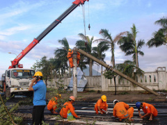 Ảnh bìa bài viết 494720