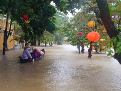 Ảnh bìa bài viết 494731
