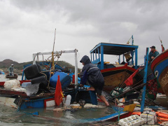 Ảnh bìa bài viết 494713