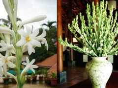 Ảnh bìa bài viết 502326