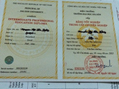 Ảnh bìa bài viết 502539