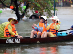 Ảnh bìa bài viết 495056