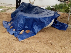 Ảnh bìa bài viết 495022